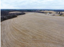 135.80AC Hickory Hill Road, Hillsboro, WI 54634