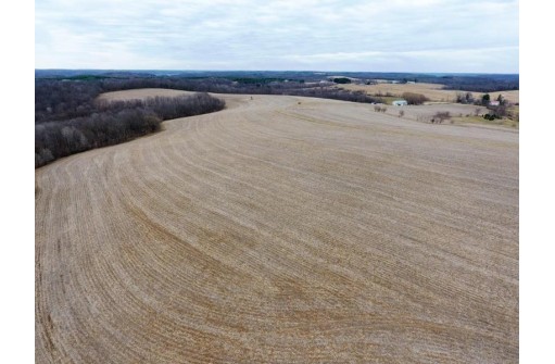 135.80AC Hickory Hill Road, Hillsboro, WI 54634