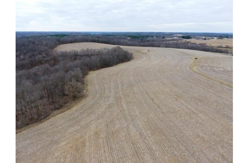 135.80AC Hickory Hill Road, Hillsboro, WI 54634