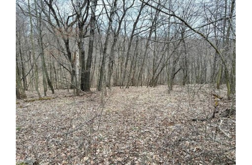 135.80AC Hickory Hill Road, Hillsboro, WI 54634