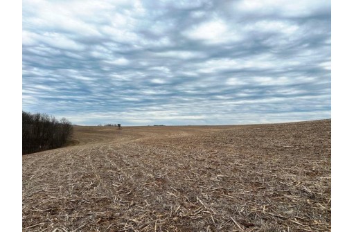 135.80AC Hickory Hill Road, Hillsboro, WI 54634