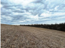 135.80AC Hickory Hill Road, Hillsboro, WI 54634