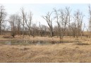 76.46 AC County Road M, Argyle, WI 53504