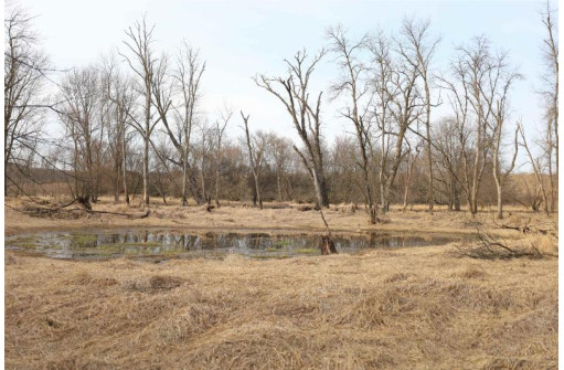 76.46 AC County Road M, Argyle, WI 53504