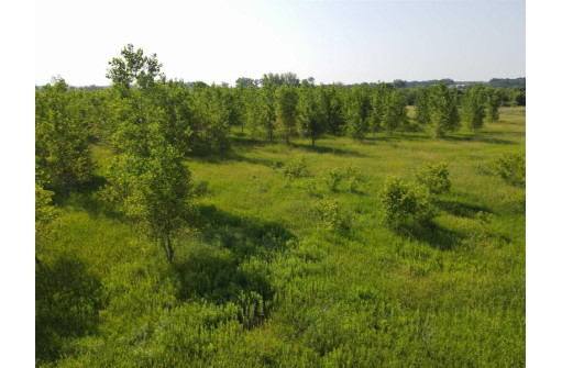 139.57 AC County Road M, Browntown, WI 53522