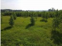 139.57 AC County Road M, Browntown, WI 53522