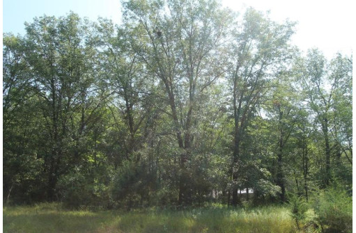 LOT 53 Tomahawk Trail, Montello, WI 53949-0000