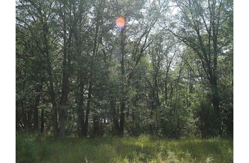 LOT 53 Tomahawk Trail, Montello, WI 53949-0000