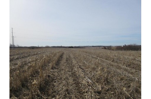 263.4 AC Cherry Grove Road, Viroqua, WI 54665