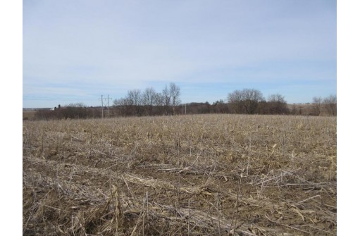 263.4 AC Cherry Grove Road, Viroqua, WI 54665