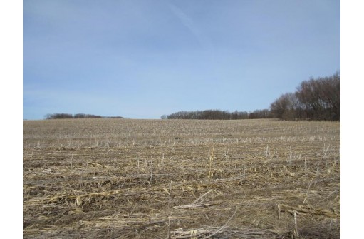 263.4 AC Cherry Grove Road, Viroqua, WI 54665