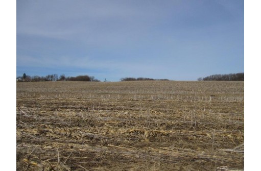 263.4 AC Cherry Grove Road, Viroqua, WI 54665