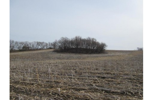 263.4 AC Cherry Grove Road, Viroqua, WI 54665