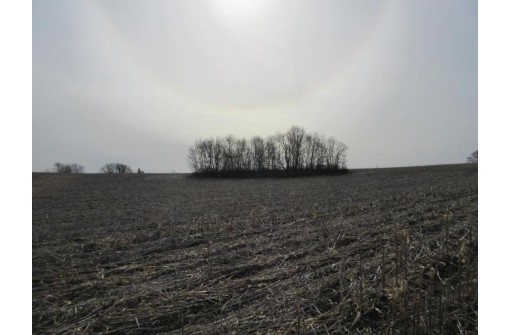 263.4 AC Cherry Grove Road, Viroqua, WI 54665