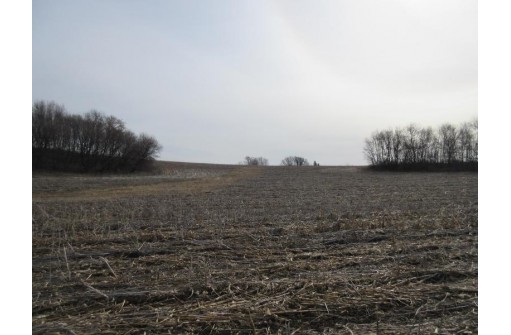 263.4 AC Cherry Grove Road, Viroqua, WI 54665