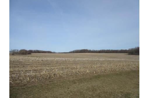 263.4 AC Cherry Grove Road, Viroqua, WI 54665