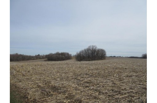 263.4 AC Cherry Grove Road, Viroqua, WI 54665