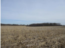 263.4 AC Cherry Grove Road, Viroqua, WI 54665