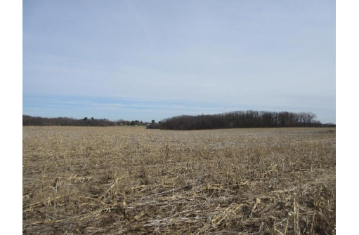 263.4 AC Cherry Grove Road, Viroqua, WI 54665