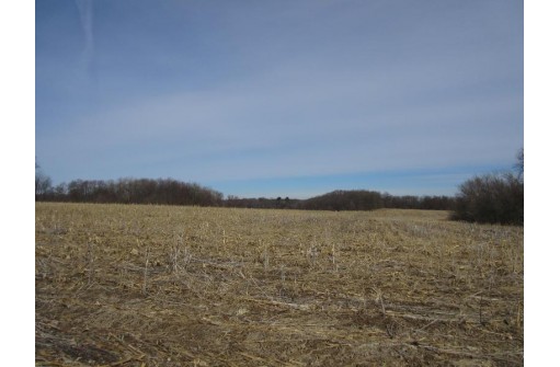 263.4 AC Cherry Grove Road, Viroqua, WI 54665