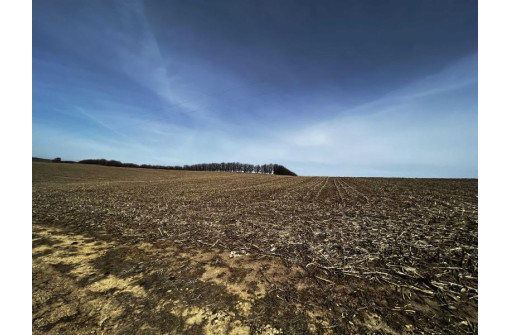 263.58 AC. Wettach Road, Monticello, WI 53570