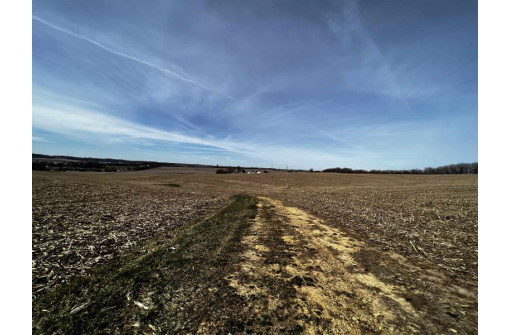 263.58 AC. Wettach Road, Monticello, WI 53570