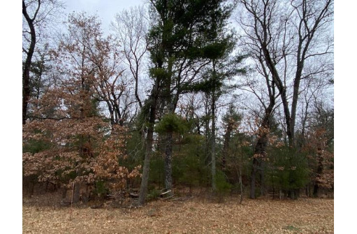 1705 Westwind Trail, Nekoosa, WI 54457