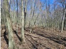 123.5 +/- ACRES Hell Hollow Road, Richland Center, WI 53581