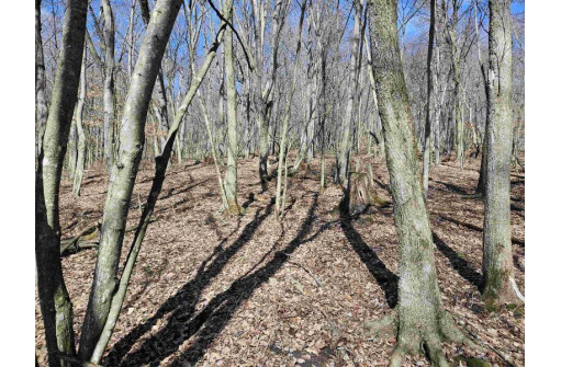 123.5 +/- ACRES Hell Hollow Road, Richland Center, WI 53581