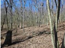 123.5 +/- ACRES Hell Hollow Road, Richland Center, WI 53581