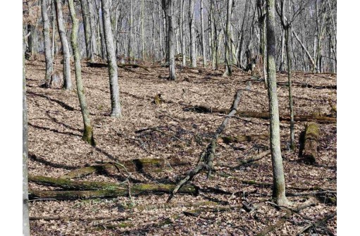 123.5 +/- ACRES Hell Hollow Road, Richland Center, WI 53581