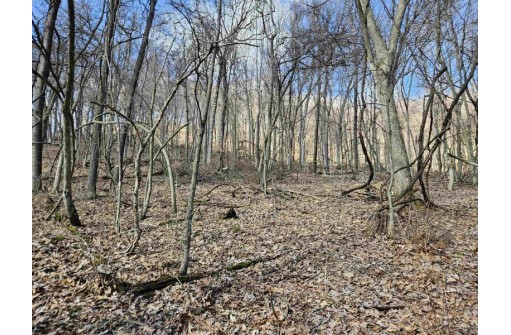 123.5 +/- ACRES Hell Hollow Road, Richland Center, WI 53581