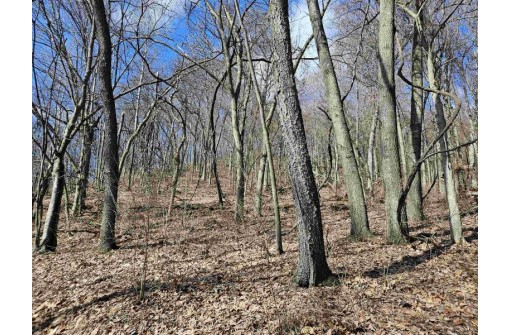 123.5 +/- ACRES Hell Hollow Road, Richland Center, WI 53581