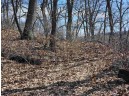 123.5 +/- ACRES Hell Hollow Road, Richland Center, WI 53581