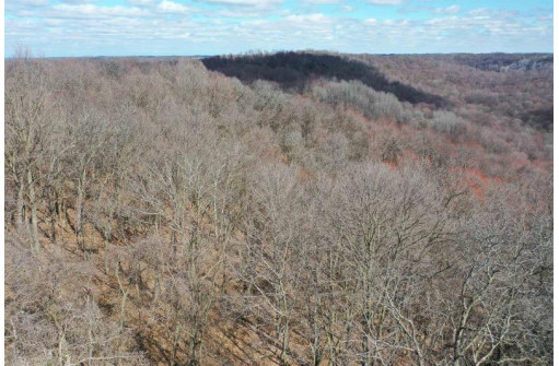 123.5 +/- ACRES Hell Hollow Road, Richland Center, WI 53581