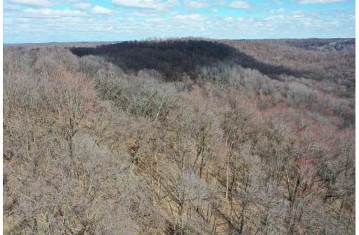 123.5 +/- ACRES Hell Hollow Road, Richland Center, WI 53581