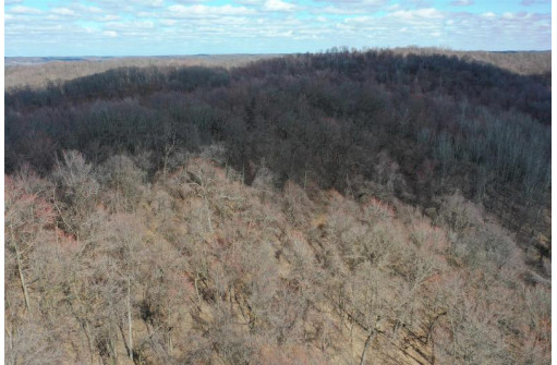 123.5 +/- ACRES Hell Hollow Road, Richland Center, WI 53581