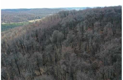 123.5 +/- ACRES Hell Hollow Road, Richland Center, WI 53581