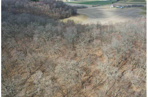 123.5 +/- ACRES Hell Hollow Road, Richland Center, WI 53581