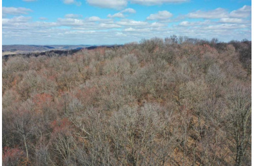 123.5 +/- ACRES Hell Hollow Road, Richland Center, WI 53581