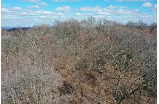 123.5 +/- ACRES Hell Hollow Road, Richland Center, WI 53581