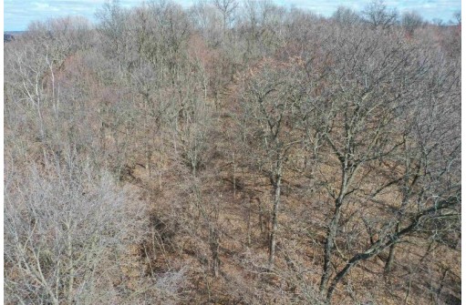 123.5 +/- ACRES Hell Hollow Road, Richland Center, WI 53581