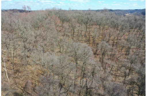 123.5 +/- ACRES Hell Hollow Road, Richland Center, WI 53581