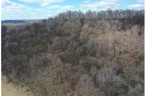 123.5 +/- ACRES Hell Hollow Road, Richland Center, WI 53581