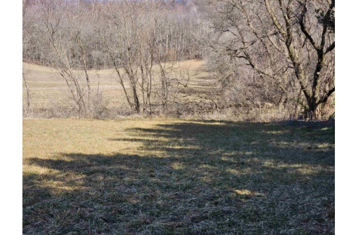 123.5 +/- ACRES Hell Hollow Road, Richland Center, WI 53581