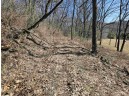 123.5 +/- ACRES Hell Hollow Road, Richland Center, WI 53581