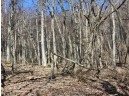 123.5 +/- ACRES Hell Hollow Road, Richland Center, WI 53581