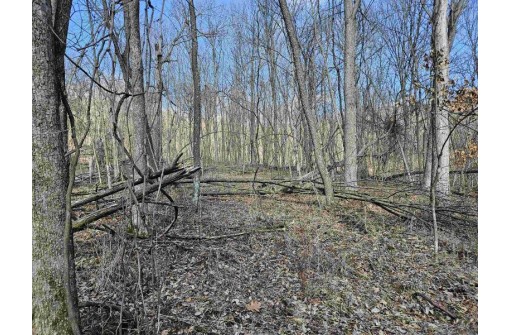 123.5 +/- ACRES Hell Hollow Road, Richland Center, WI 53581