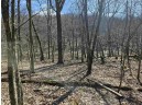 123.5 +/- ACRES Hell Hollow Road, Richland Center, WI 53581