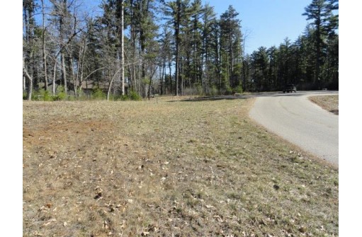 LOT 63 Fly Rod Trail, Wisconsin Rapids, WI 54494